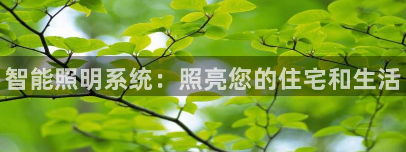智能照明系统：照亮您的住宅和生活