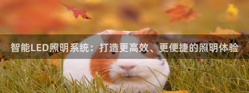 智能LED照明系统：打造更高效、更便捷的照明体验