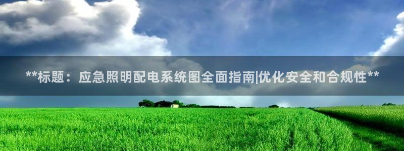 **标题:应急照明配电系统图全面指南|优化安全和合规性**