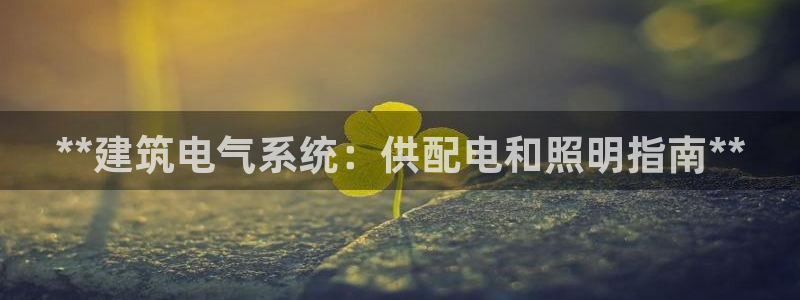 **建筑电气系统：供配电和照明指南**