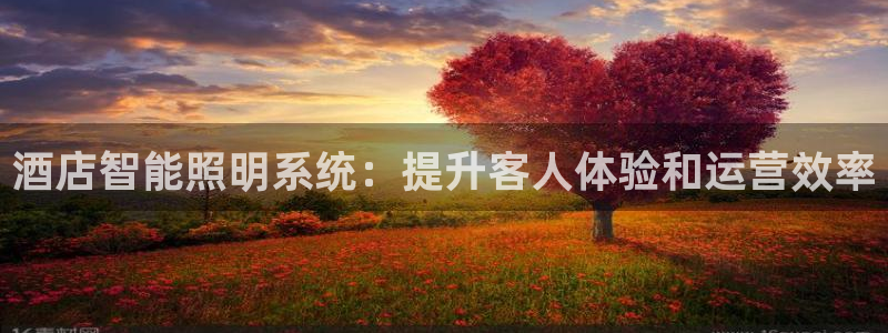 酒店智能照明系统：提升客人体验和运营效率