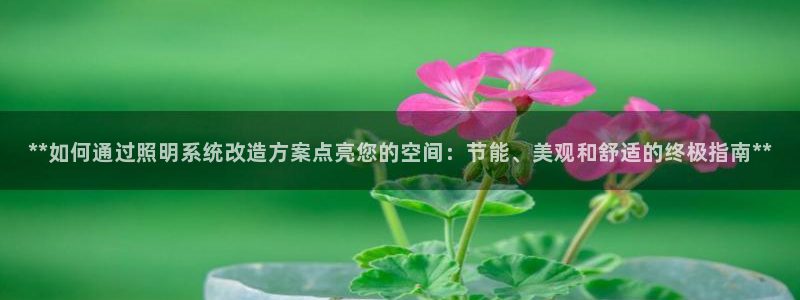 **如何通过照明系统改造方案点亮您的空间：节能、美观和舒适的终极指南**