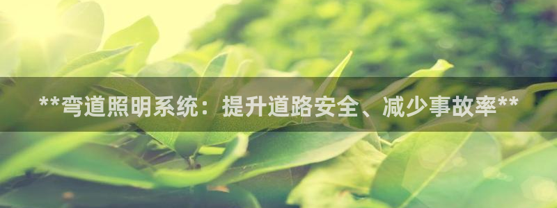 **弯道照明系统:提升道路安全、减少事故率**