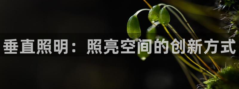 垂直照明：照亮空间的创新方式