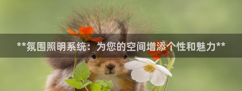 **氛围照明系统：为您的空间增添个性和魅力**