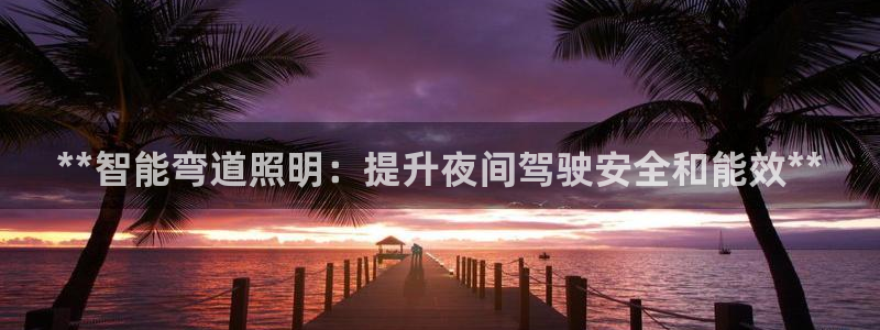 **智能弯道照明：提升夜间驾驶安全和能效**