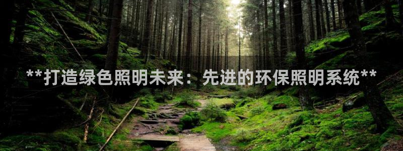 **打造绿色照明未来：先进的环保照明系统**