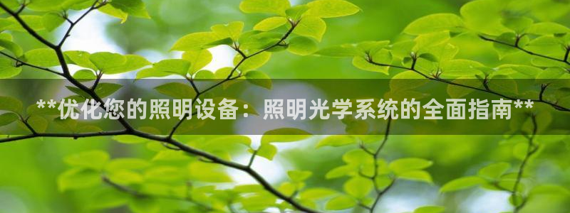 **优化您的照明设备：照明光学系统的全面指南**