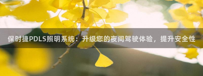 保时捷PDLS照明系统：升级您的夜间驾驶体验，提升安全性