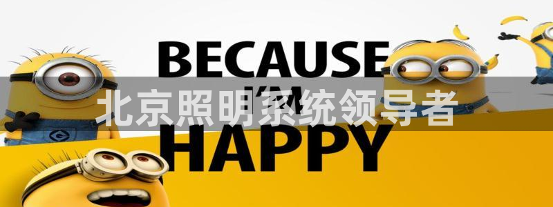 北京照明系统领导者