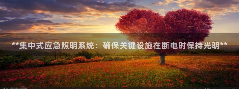 **集中式应急照明系统：确保关键设施在断电时保持光明**