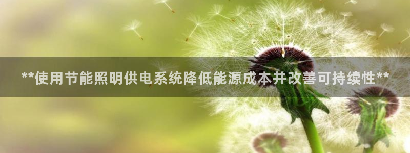 **使用节能照明供电系统降低能源成本并改善可持续性**