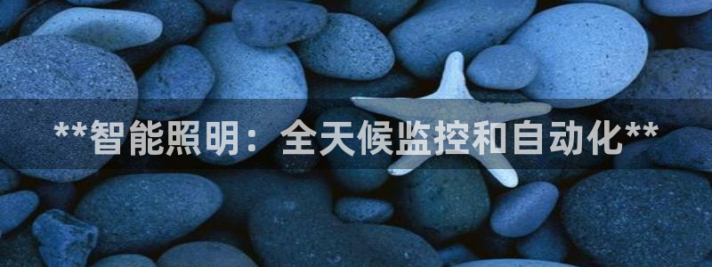 **智能照明：全天候监控和自动化**