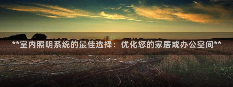 **室内照明系统的最佳选择：优化您的家居或办公空间**
