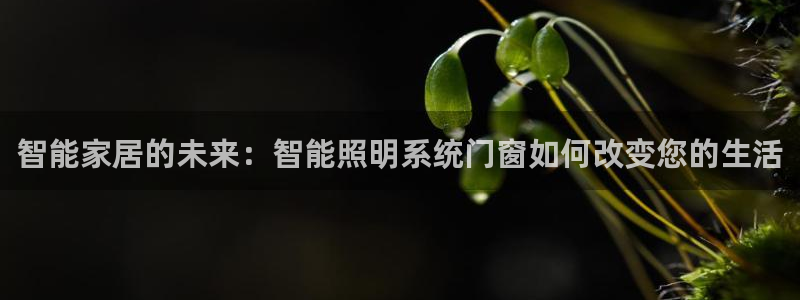 智能家居的未来：智能照明系统门窗如何改变您的生活