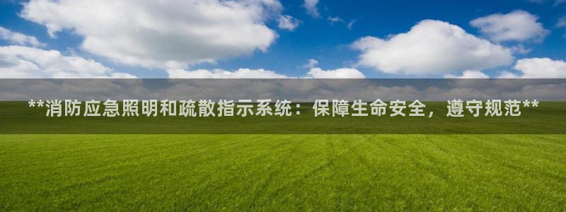 **消防应急照明和疏散指示系统：保障生命安全，遵守规范**