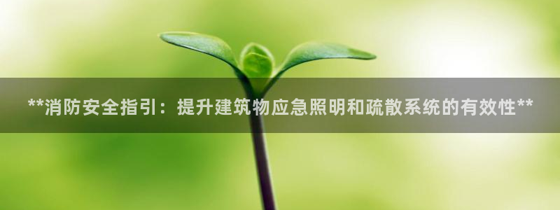 **消防安全指引：提升建筑物应急照明和疏散系统的有效性**