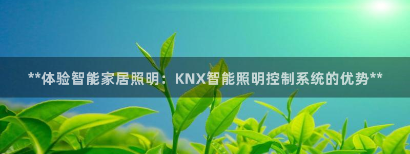 **体验智能家居照明：KNX智能照明控制系统的优势**