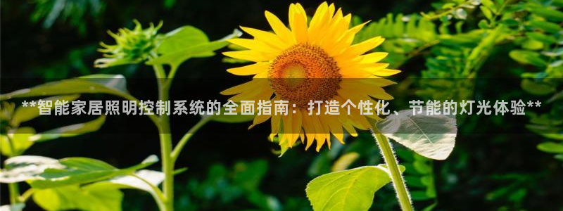 **智能家居照明控制系统的全面指南：打造个性化、节能的灯光体验**