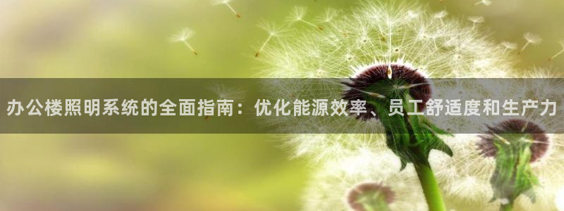 办公楼照明系统的全面指南:优化能源效率、员工舒适度和生产力