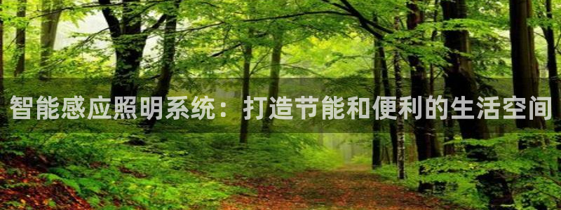 智能感应照明系统：打造节能和便利的生活空间