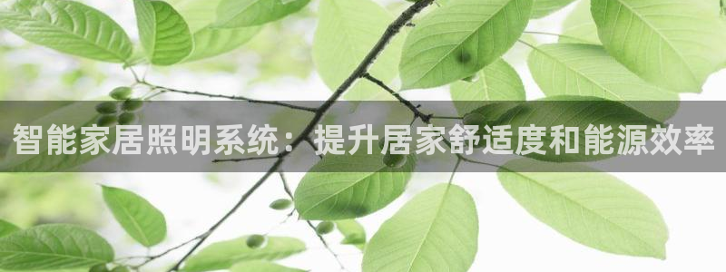 智能家居照明系统：提升居家舒适度和能源效率
