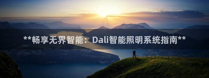 **畅享无界智能：Dali智能照明系统指南**