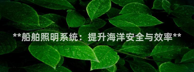 **船舶照明系统：提升海洋安全与效率**