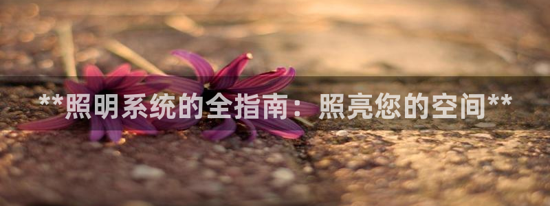 **照明系统的全指南：照亮您的空间**