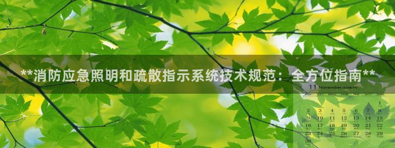 **消防应急照明和疏散指示系统技术规范：全方位指南**