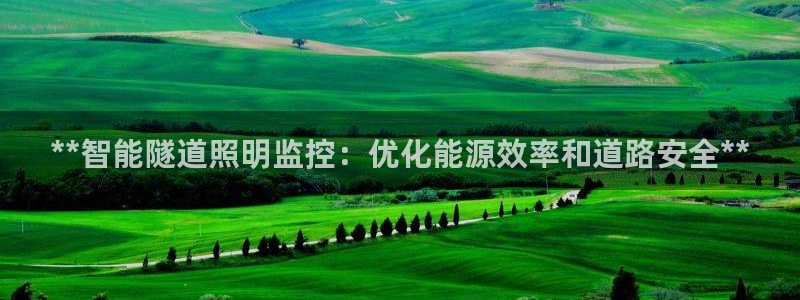 **智能隧道照明监控:优化能源效率和道路安全**