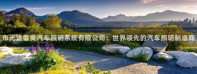 市光法雷奥汽车照明系统有限公司：世界领先的汽车照明制造商