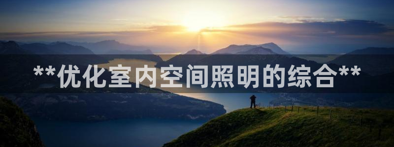 **优化室内空间照明的综合**
