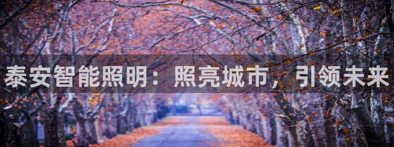 泰安智能照明：照亮城市，引领未来
