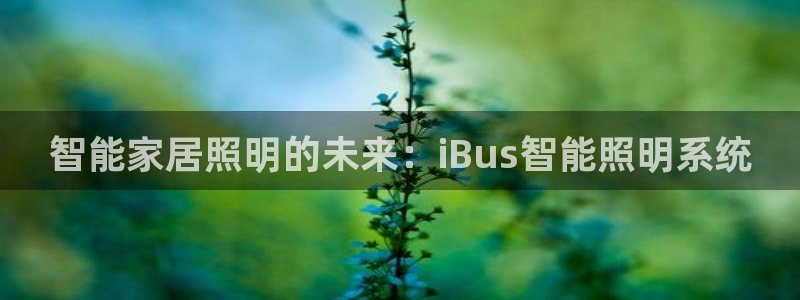 智能家居照明的未来：iBus智能照明系统