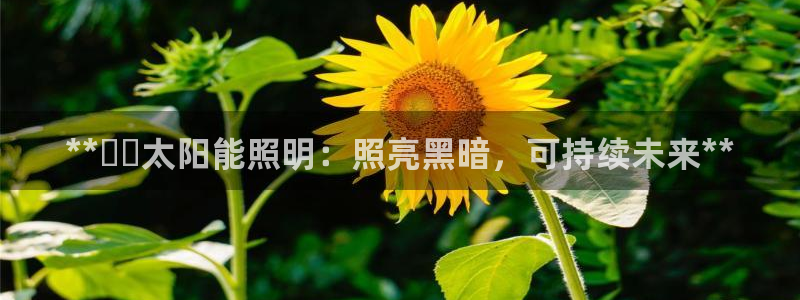 **☀️太阳能照明：照亮黑暗，可持续未来**