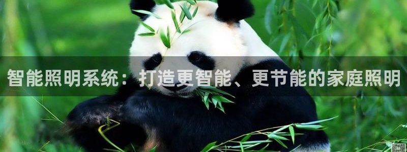 智能照明系统：打造更智能、更节能的家庭照明
