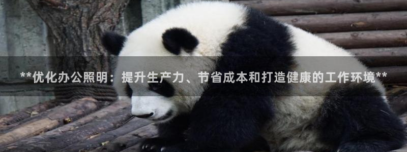 **优化办公照明:提升生产力、节省成本和打造健康的工作环境**