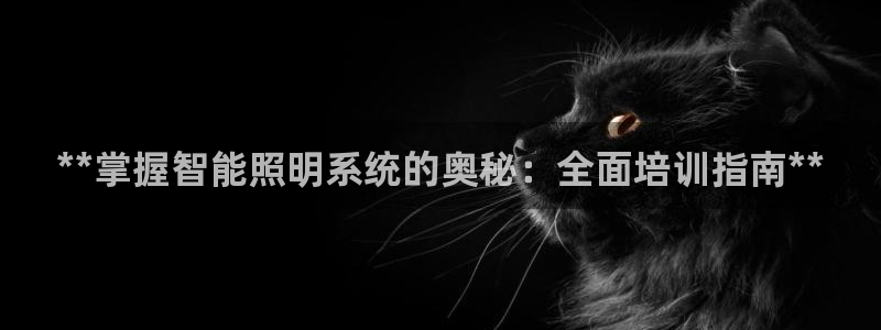 **掌握智能照明系统的奥秘：全面培训指南**