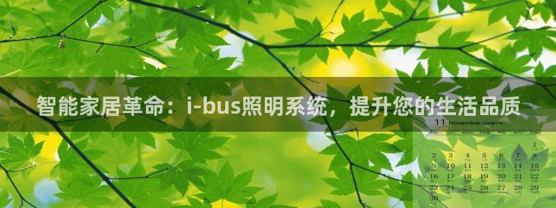 智能家居革命：i-bus照明系统，提升您的生活品质