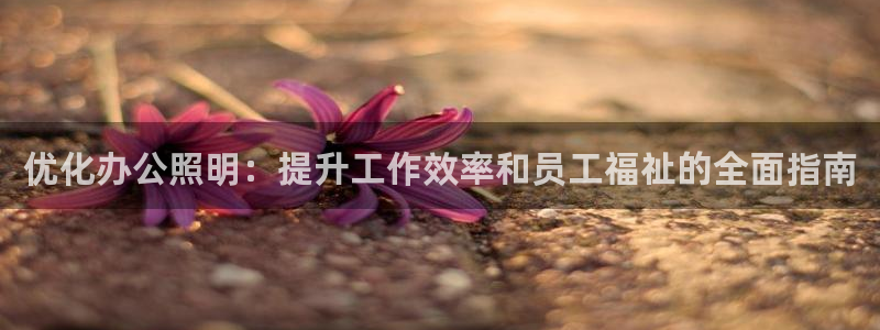 优化办公照明:提升工作效率和员工福祉的全面指南