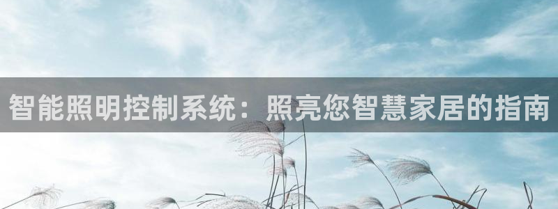 智能照明控制系统：照亮您智慧家居的指南