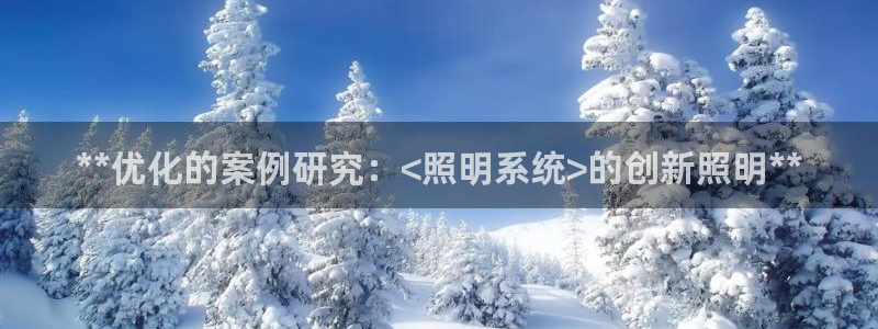 **优化的案例研究：<照明系统>的创新照明**