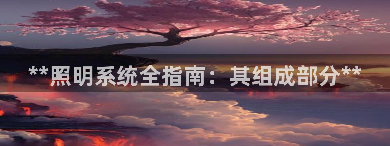 **照明系统全指南：其组成部分**