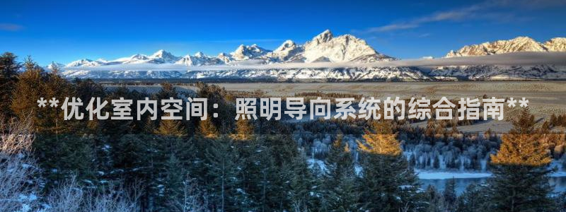 **优化室内空间：照明导向系统的综合指南**