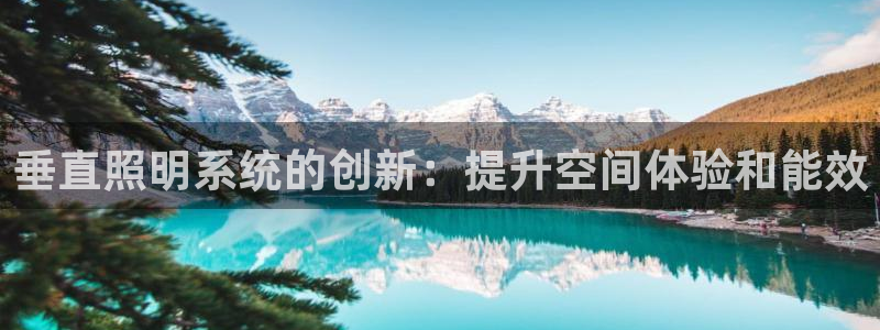 垂直照明系统的创新：提升空间体验和能效