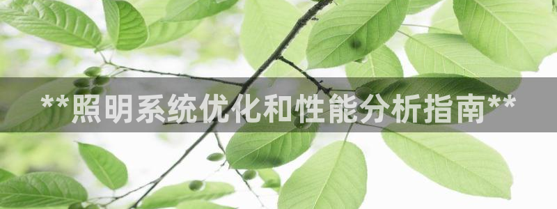 **照明系统优化和性能分析指南**
