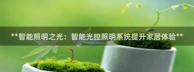 **智能照明之光：智能光控照明系统提升家居体验**