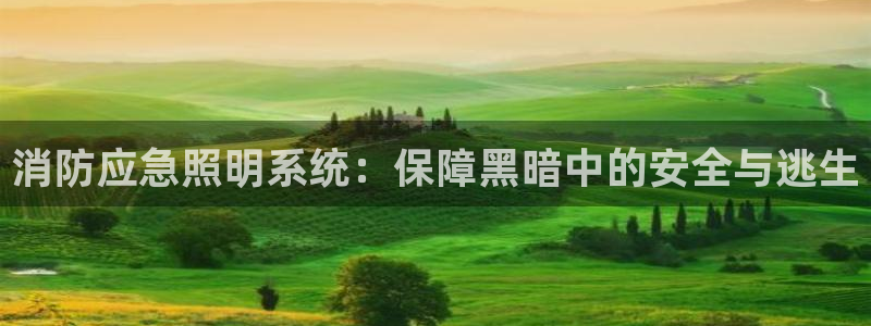消防应急照明系统：保障黑暗中的安全与逃生