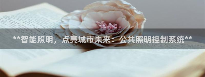 **智能照明,点亮城市未来:公共照明控制系统**